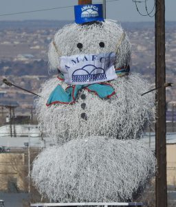 2020 Tumbleweed Snowman